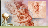 musculoskeletal specialties